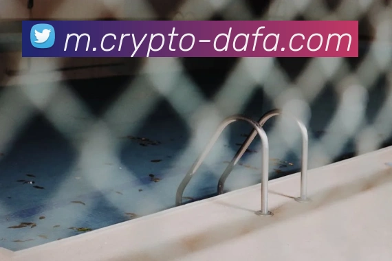 大发彩票平台生态图